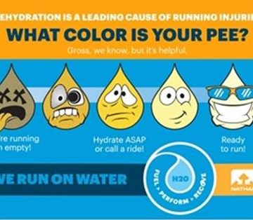 hydration before during and after exercise