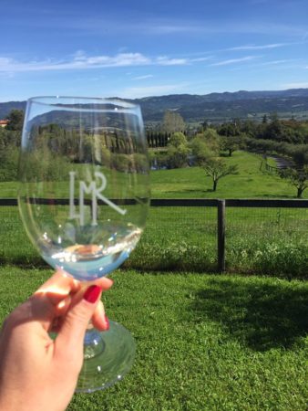 Napa Valley Travel Guide | Marissa Vicario | Long Meadow Ranch wine glass against backdrop 