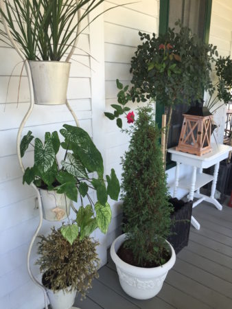 The Chequit Shelter Island - porch plants - Where I Need to Be