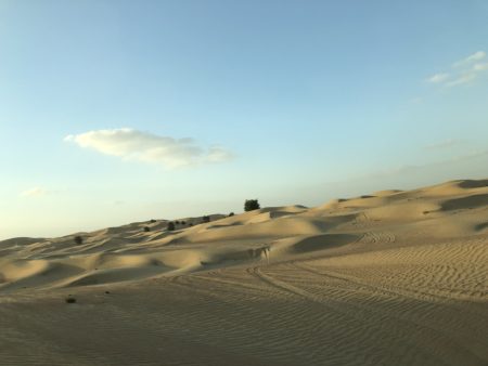 Five Days in Dubai | Dubai Desert | Marissa Vicario