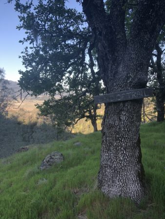 Napa Valley Travel Guide | Marissa Vicario | Calistoga hiking trails