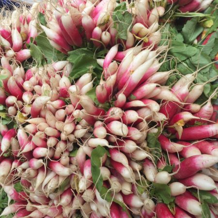 Navigating the Farmer's Market | radishes | Marissa Vicario