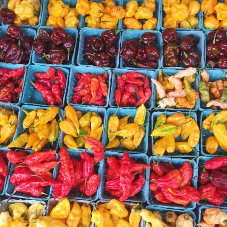 Navigating the Farmer's Market with Ease | peppers | Marissa Vicario