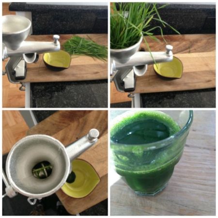Wheatgrass juice collage | how to juice wheatgrass 