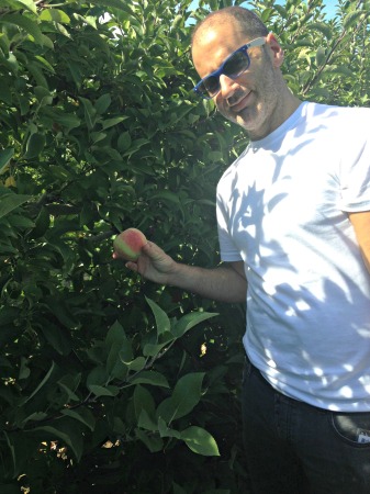 apple picking in new jersey