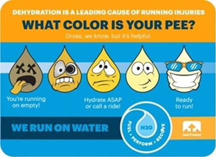 hydration before during and after exercise